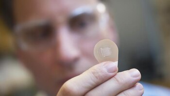 Las pequeñas agujas perforan las