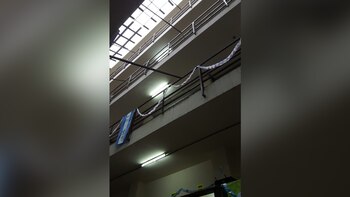 El joven se tiró al