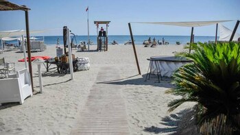 Diversas organizaciones buscan “boicotear” el