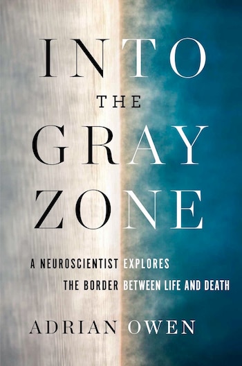 “Hacia la zona gris”, del