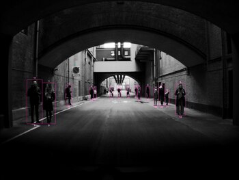 Las cámaras que fotografiaron el