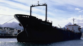 Denuncian la pérdida de 60