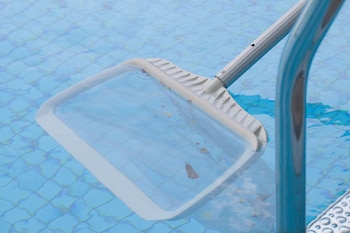 El agua puede contener diferentes