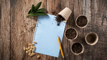 Huertas orgánicas in-house, una de