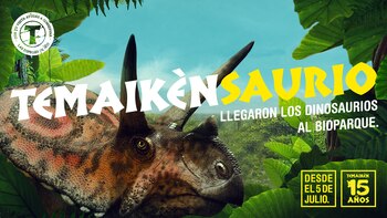 TemaikènSAURIO cuenta con 33 dinosaurios
