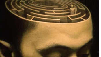 Nuestra memoria es recortada por