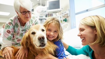 La explicación científica de los