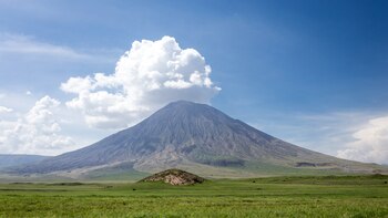 Stamps organizó un sistema de
