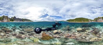 Muchas de las imágenes que