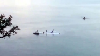 El comienzo del rescate de