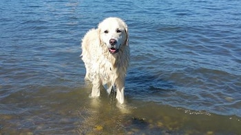 Storm protagonizó uno de los