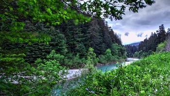 Caminar por el bosque, trazar