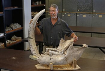 Peter Houde se encargó de