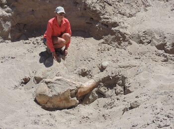 El stegomastodon es una versión