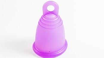 La forma del tallo, que