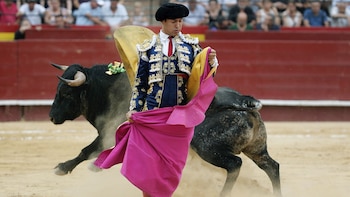 El novillero Jesús Chover lidiando