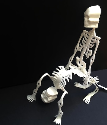 Aquí le toca al hombre