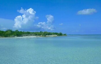 Snipe Point Ryan McCoy