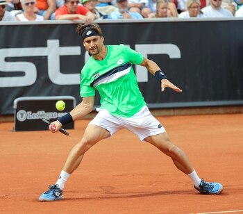 David Ferrer (AP)