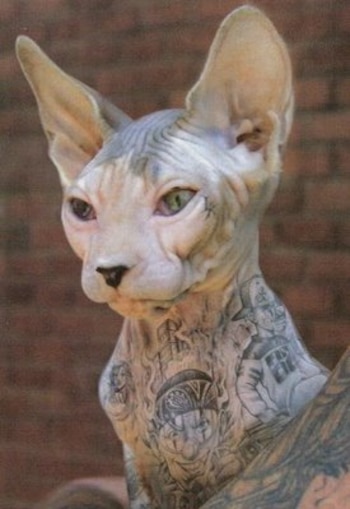 Al principio pensamos que este