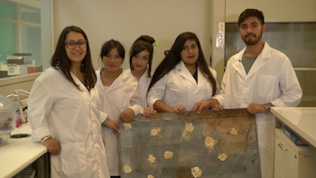 Karen Mongelos, profesora de matemáticas