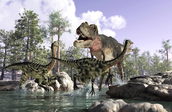 El “rey de los lagartos