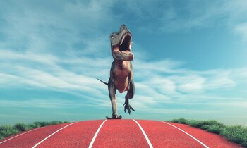 19 Km/H: la velocidad máxima