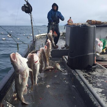 Trosvig abordo del Grayling haciendo