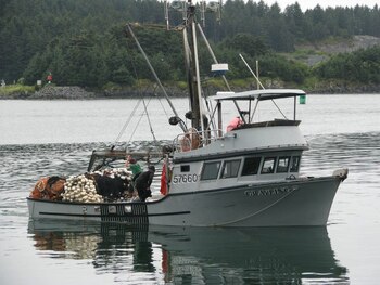 Grayling, el barco de Trosvig