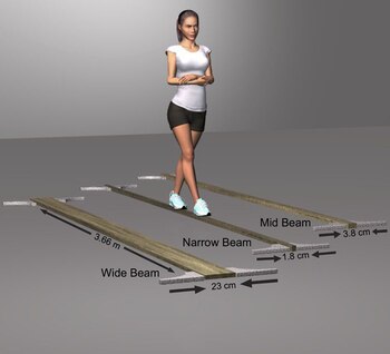 Imagen del estudio que analizó