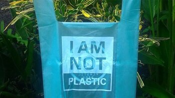 Las novedosas bolsas ecológicas son