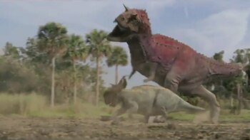 Esta es la primera vez