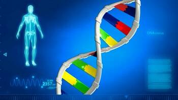 La premisa de evaluar la