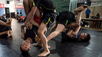 El retrato de una típica