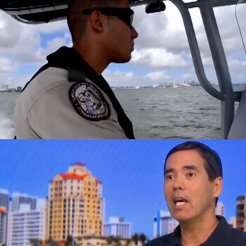 Especialistas en vida marina y