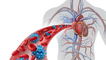 Existe evidencia científica sobre el