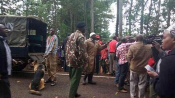 Un importante número de fuerzas