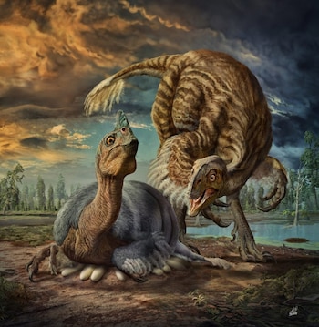 Una ilustración del dinosaurio Beibeilong (Zhao Chuang / The Washington Post)