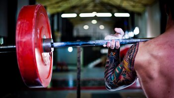 Un estudio demostró cómo los