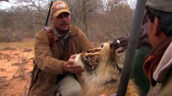 Algunos de los contenidos de