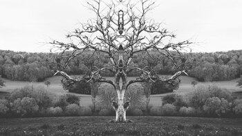 Imágenes de “Rorschach Photography” de Mat Piranda, vía