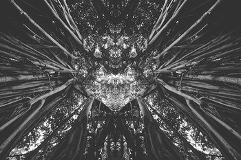 Imagen OVDVS7VOAVGHXJG7SNYO2IXQFI