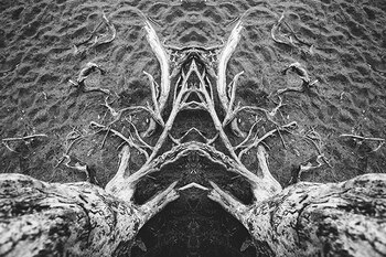 Imagen ZELXT6AXGBBADMSSM2JXQZMHNQ