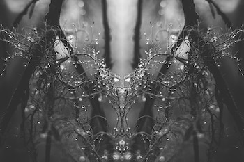 Imagen CYLY6UCBWJBNFCHZCBOLYWOYFI