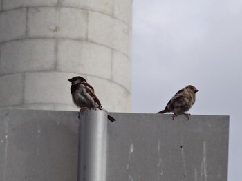 Foto vía usuario de Flickr