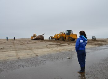 Aún no se precisó la