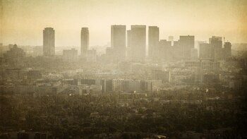 Los factores ambientales pueden incluir