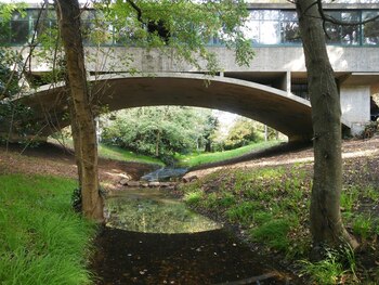 La reconocida vivienda, se sitúa