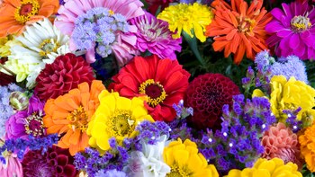 Actualmente existen casi 400 mil