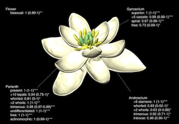 El modelo robótico que muestra